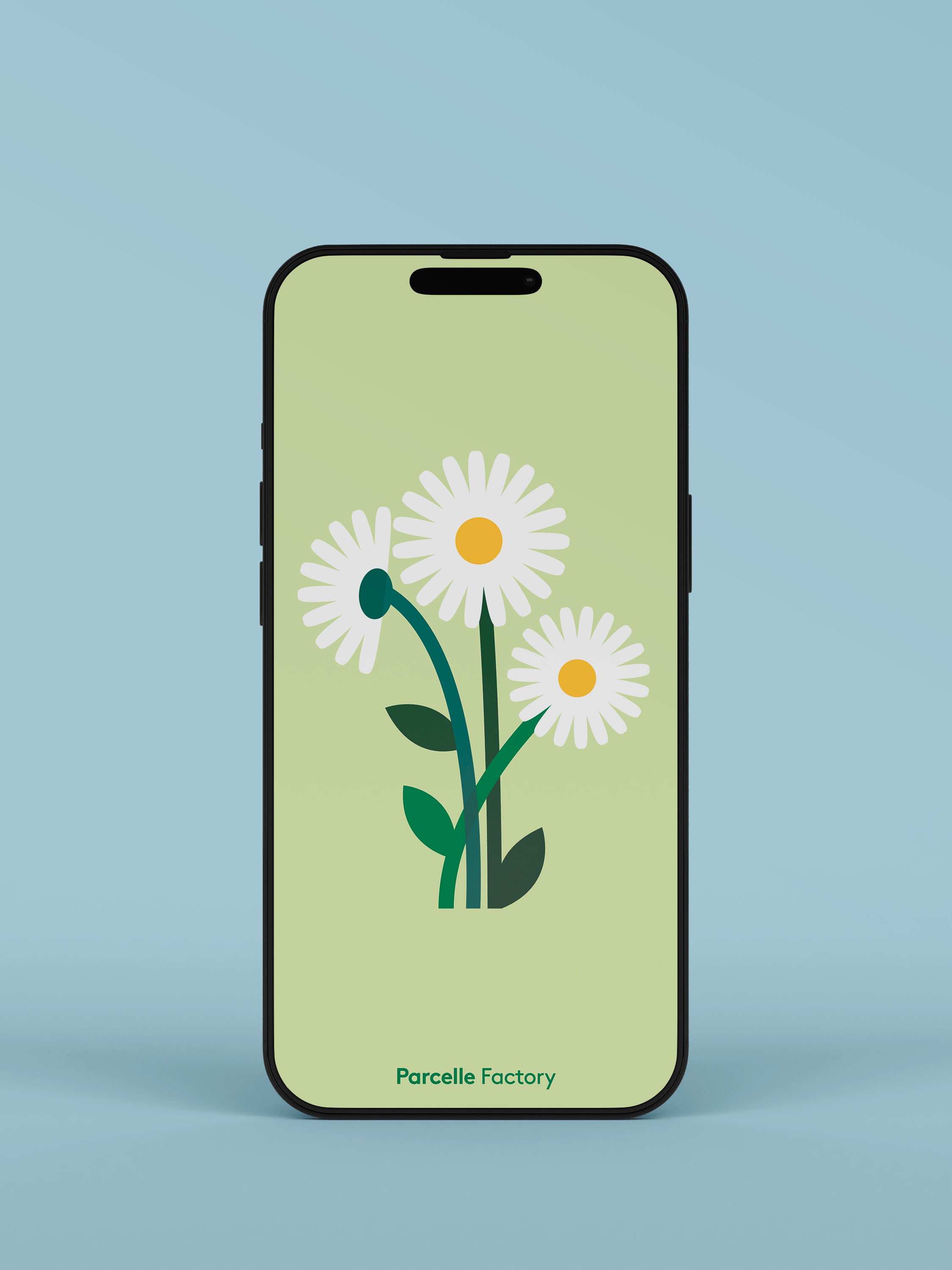 Fond d'écran - Marguerites