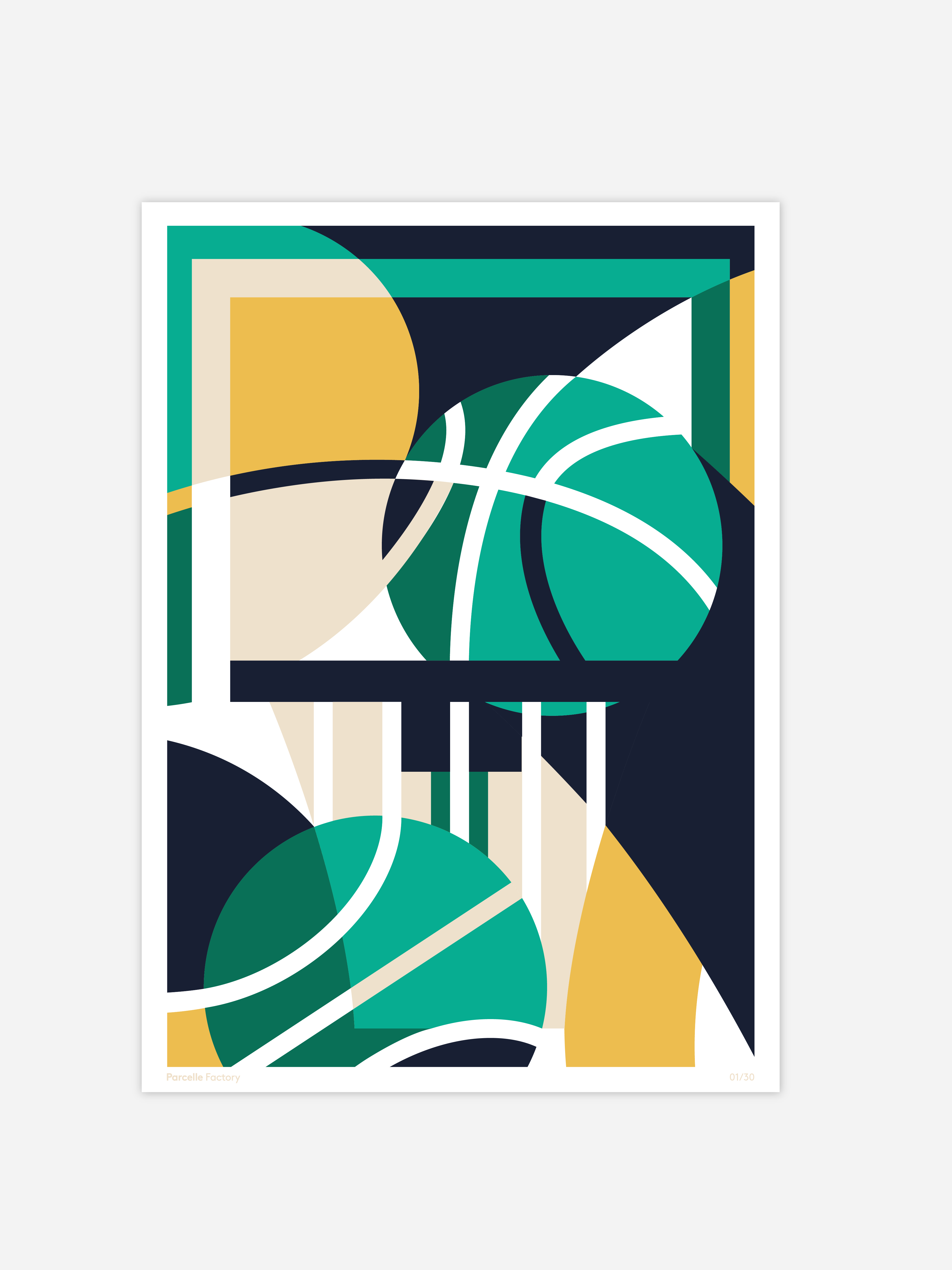 Affiche édition limitée - Basketball